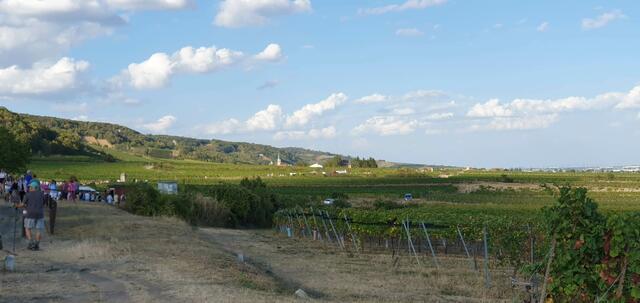 Foto: Philipp Steinriegler