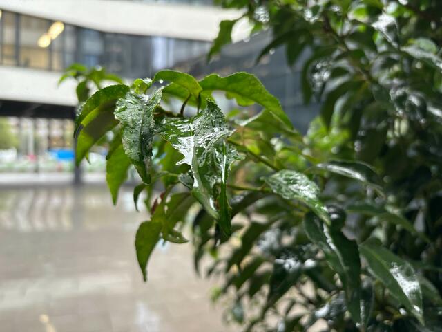 Foto: Andreas Pölzl/MeinBezirk