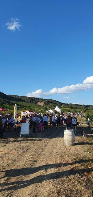 Foto: Philipp Steinriegler