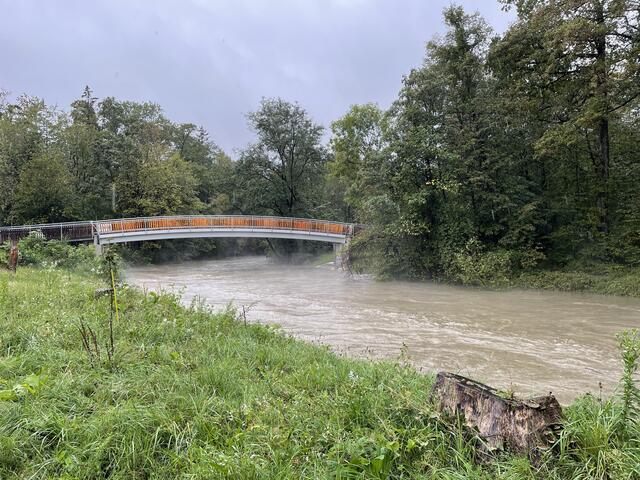 Ager bei der Freundschaftsbrücke, Schalchham (Regau) | Foto: Rabl
