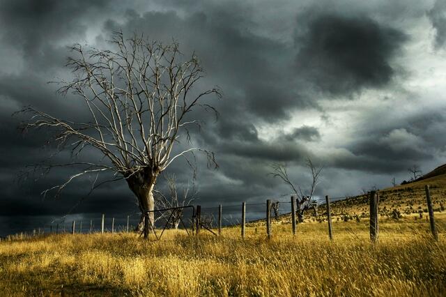 Starker Regen und Sturm machen uns gerade zu schaffen | Foto: Pexels 