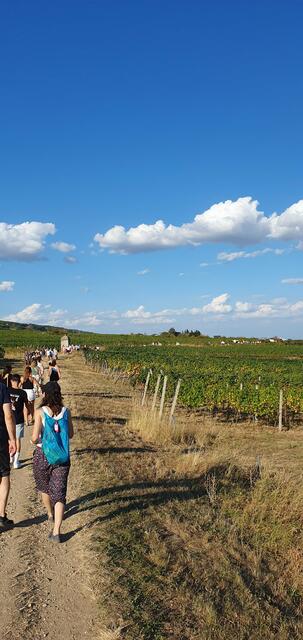 Foto: Philipp Steinriegler