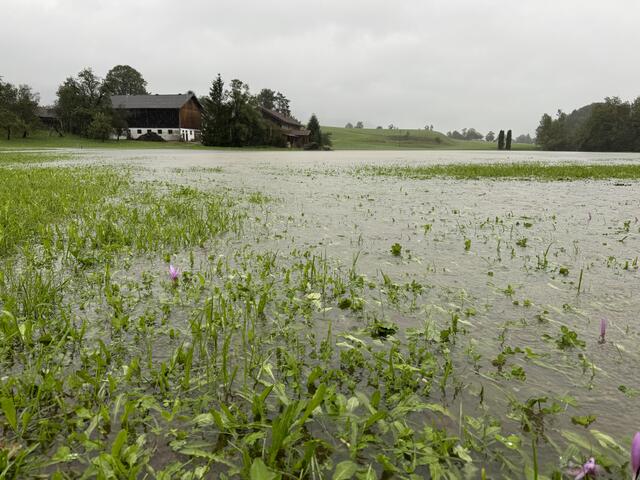 Die Fuschler Ache ist Samstag früh über die Ufer getreten. | Foto: Feuerwehr/Christian Stoxreiter
