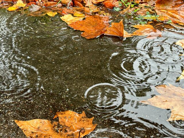 Seit Freitag hatte die Berufsfeuerwehr rund 550 Einsätze nur aufgrund des derzeitigen Unwetters.  | Foto: Andreas Pölzl/MeinBezirk