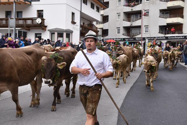 Auch Bernhard Knoflach aus Patsch begleitete das Fulpmer Vieh, weil er im Dorf liiert ist. | Foto: Kainz
