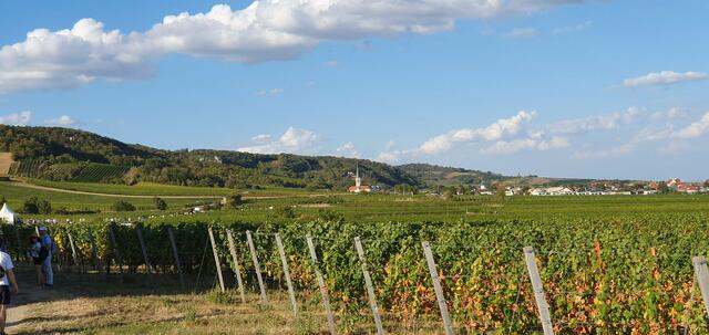 Foto: Philipp Steinriegler