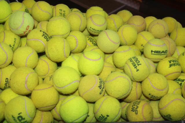 Foto: MeinBezirk/Hofmüller