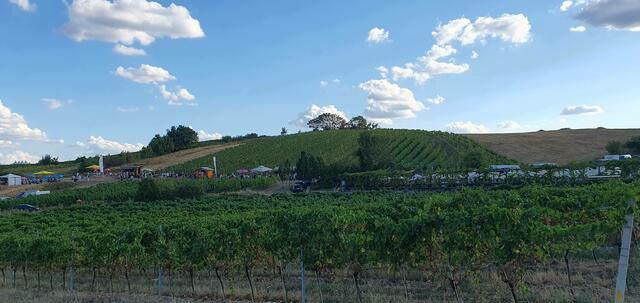 Foto: Philipp Steinriegler