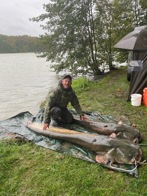 Bernd Horvath aus Kohfidisch zog zwei Welse mit über zwei Metern Länge aus der Fischteichanlage bei Rotenturm.  | Foto: Horvath