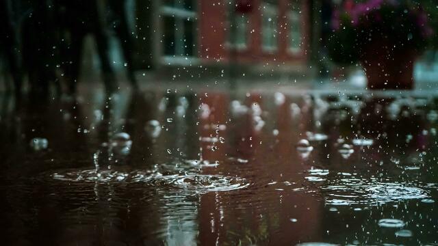 Viel Regen. Die Natur "freut" sich. Der Mensch ev. weniger | Foto: Pexels 