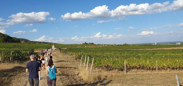 Foto: Philipp Steinriegler