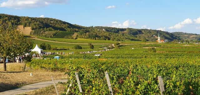 Foto: Philipp Steinriegler