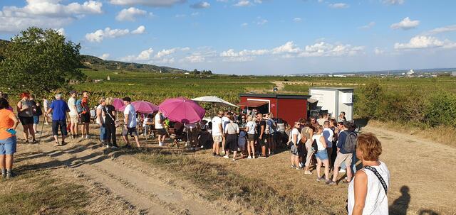 Foto: Philipp Steinriegler