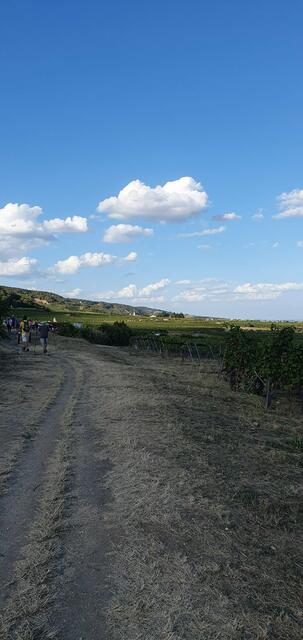 Foto: Philipp Steinriegler