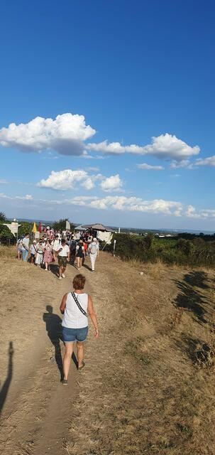 Foto: Philipp Steinriegler