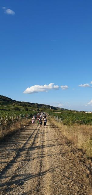 Foto: Philipp Steinriegler