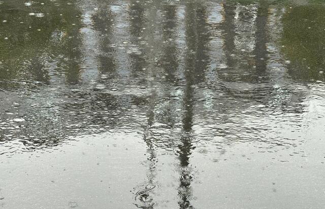 Foto: Andreas Pölzl/MeinBezirk