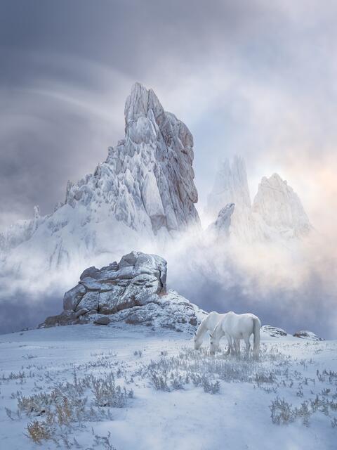 Chen Lei_China_Hallelujah mountain