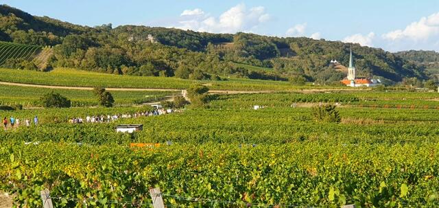 Foto: Philipp Steinriegler