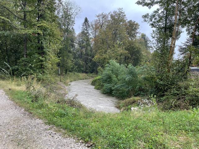 Nebenarm der Ager, Schalchham (Regau)