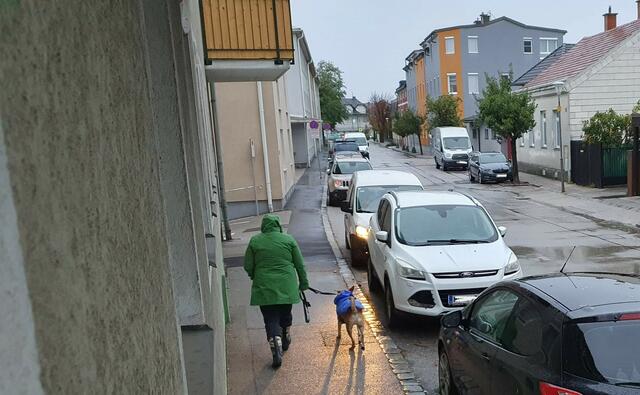 Gassi gehen muss teilweise sein. Gut eingehüllt geht es halbwegs. Der starke Sturm ist am Foto NICHT zu erkennen aber da. | Foto: Philipp Steinriegler