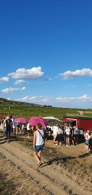 Foto: Philipp Steinriegler