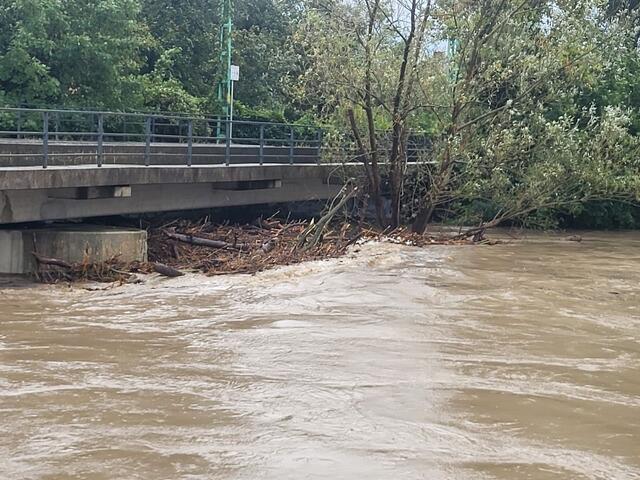 Für die Wulka und die Leitha wird derzeit ein HQ100, also ein Hochwasserereignis, das nur alle 100 Jahre eintritt, prognostiziert. Am Bild die Leitha bei Neufeld.  | Foto: Günter Prünner