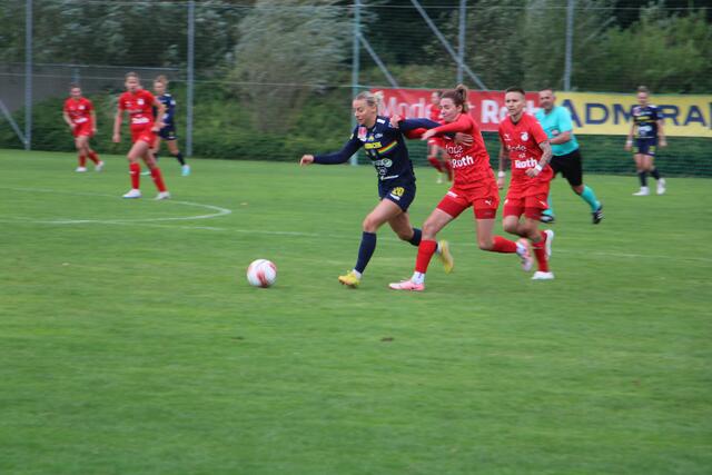 Der Bundesligaverein aus St. Pölten war für die Wildcats um eine Spur zu stark. | Foto: MeinBezirk/Hofmüller