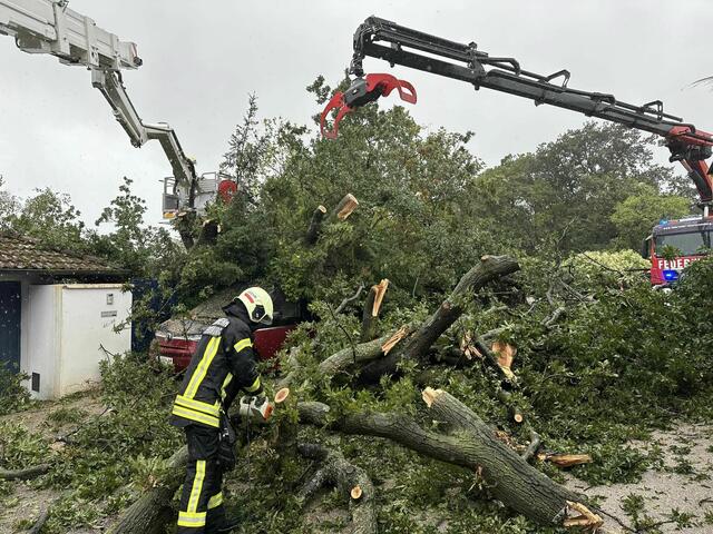 Zahlreiche Bäume hielten dem Sturm nicht stand. Die Feuerwehren sind seit Freitag im Dauereinsatz.  | Foto: FF Klosterneuburg