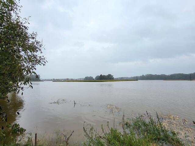 St. Georgener Bucht in Gusen | Foto: Eckhart Herbe
