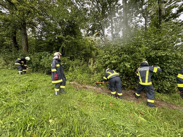 Foto: C. Stoxreiter