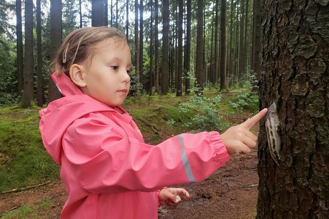 Interessiert und ganz vorsichtig berührt......
Hier sieht man auch die Größe.
