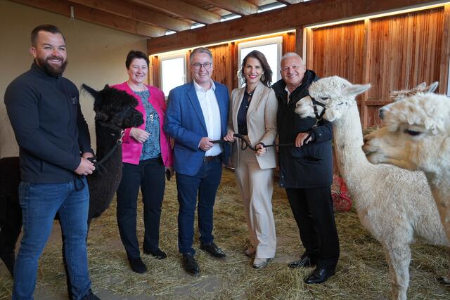 Am Alpakahof in Frauenkirchen: Betriebsinhaber Manuel Pinetz, ÖVP-Vizebürgermeisterin Martina Kettner, ÖVP-Klubobmann Markus Ulram, ÖVP-Bundesministerin Karoline Edtstadler, ÖVP-Landtagsabgeordneter Gerald Handig | Foto: Andrea Glatzer