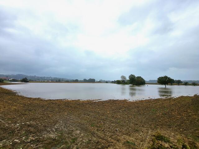 St. Georgener Bucht in Abwinden, Luftenberg | Foto: Eckhart Herbe