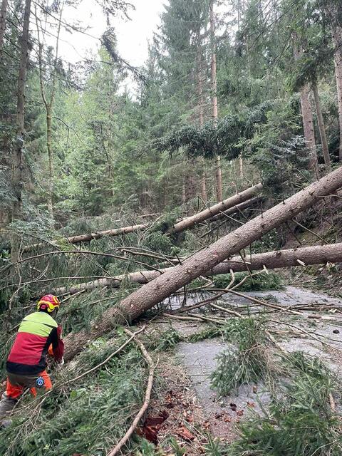 Zahlreiche Straßen waren durch umgestürzte Bäume nicht passierbar. | Foto: FF Graden