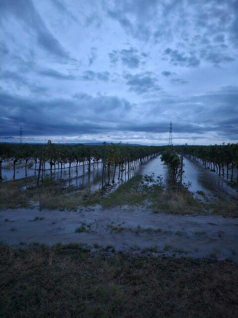Das Wasser der Piesting wurde in die Felder abgeleitet | Foto: Gemeinde Teesdorf