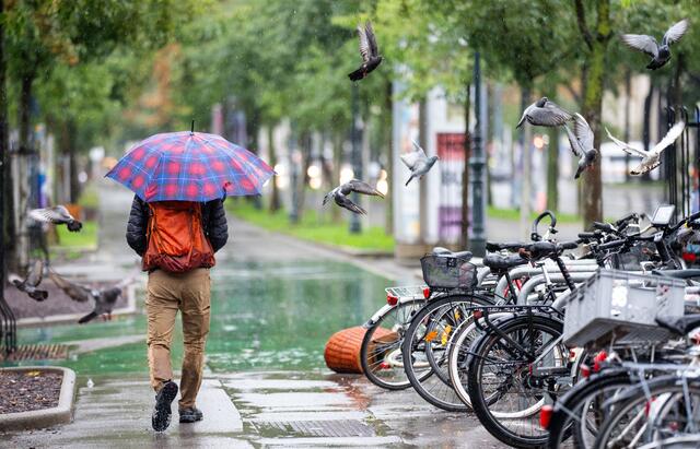 Foto: GEORG HOCHMUTH / APA / picturedesk.com 