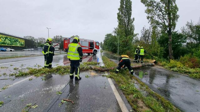 Foto: Bezirksfeuerwehrkommando Schwechat