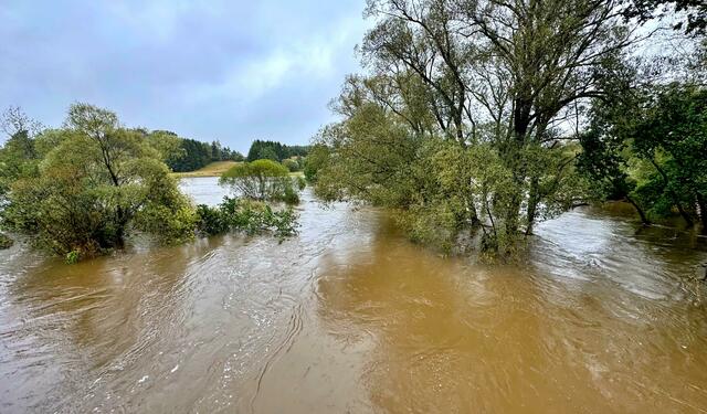 Die Stiftung Común richtet eine Spendensammlung für Menschen und Tiere ein, die durch das Hochwasser in Not geraten sind. | Foto: COMÚN Media