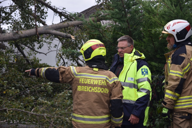 Großer Baum auf Straße - Ebreichsdorf | Foto: Thomas Lenger, Monatrevue