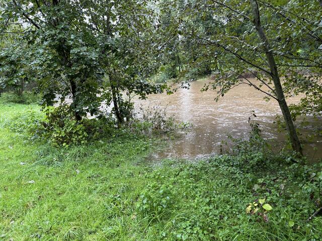 Foto: Bernhard Schabauer