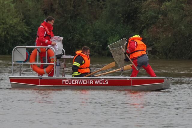 Bündel mit Papiergeld trieben im Wasser in der Welser Freizeitanlage. Die Polizei alarmierte die Feuerwehr, die die Geldscheine mittels Boot an Land brachten. | Foto: laumat.at