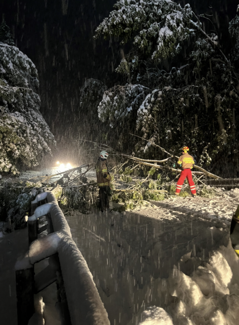 Am Grießenpass stürzte ein Baum auf die Fahrbahn. | Foto: Feuerwehr Leogang