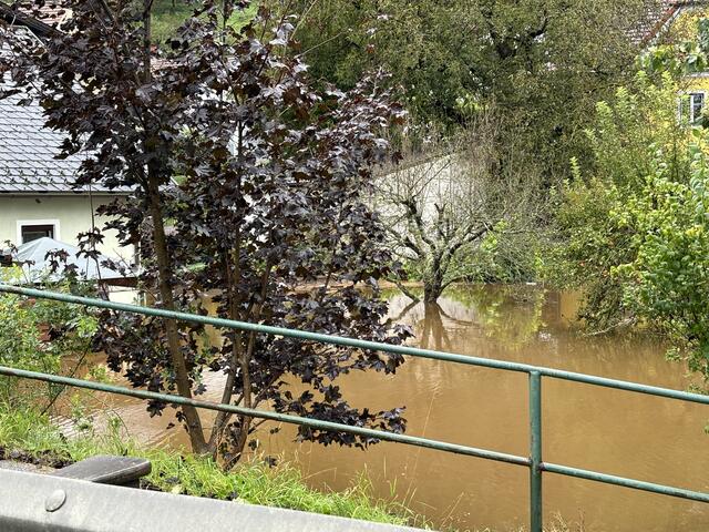 Foto: Bernhard Schabauer