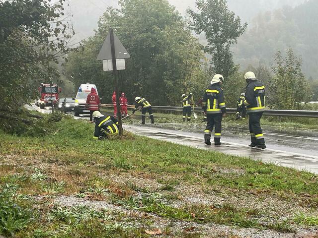 Foto: EHBI Christian Teis, BFKDO Lilienfeld