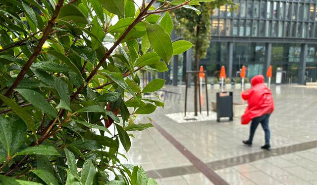 Foto: Andreas Pölzl/MeinBezirk