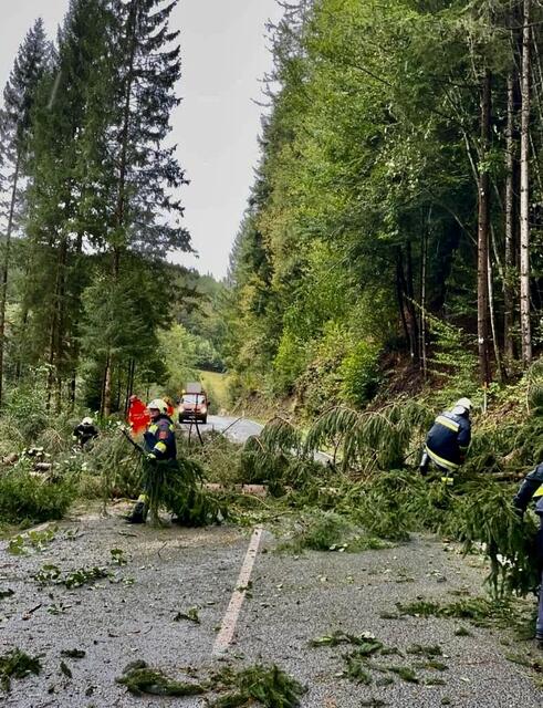 Umgestürzte Bäume blockierten die L143 | Foto: FF Warth