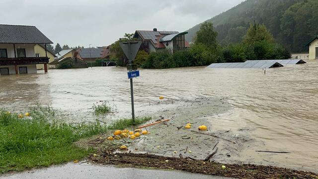 Auch am Montag bleibt die Unwetterlage in Ostösterreich weiterhin angespannt. Im von Überschwemmungen betroffenen Niederösterreich verlief die vergangene Nacht zwar ruhiger, das Bundesland bleibt allerdings weiterhin Katastrophengebiet. Auch im Burgenland und der Bundeshauptstadt Wien gibt es noch keine Entwarnung. | Foto: DOKU-NÖ