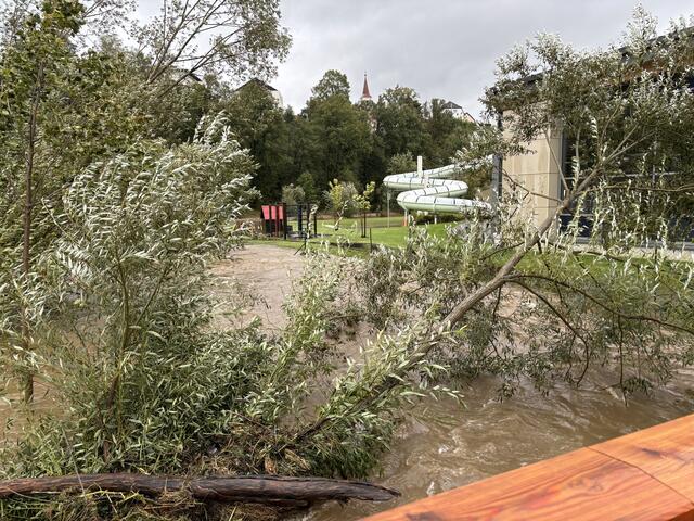 Foto: Bernhard Schabauer