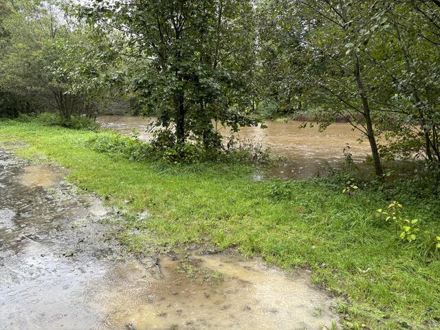 Foto: Bernhard Schabauer